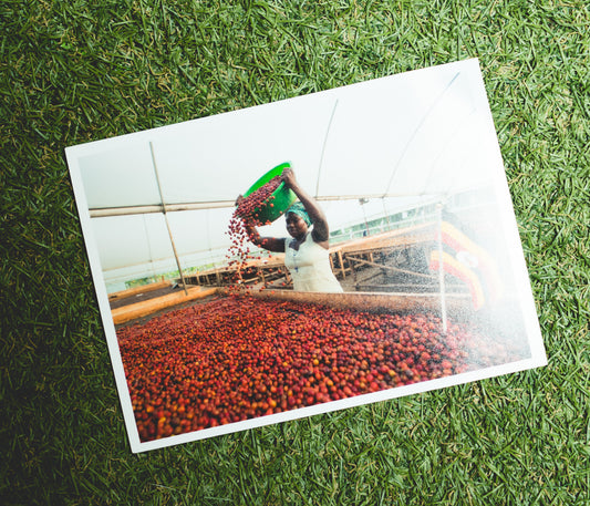 Interest: Altitude & Coffee - What Does It Really Mean?