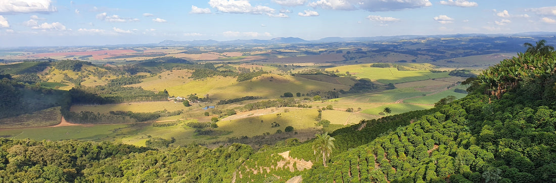 Sourcing Coffee With Intention: How Every Cup Does Global Good