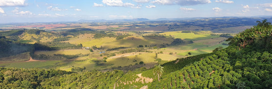 Sourcing Coffee With Intention: How Every Cup Does Global Good