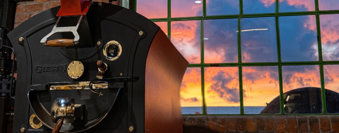 Welcome to the Damn Fine Coffee Journal: Filtering Out the Noise in Specialty Coffee
