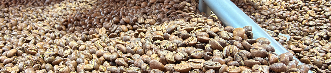 Beans fresh from the roaster!